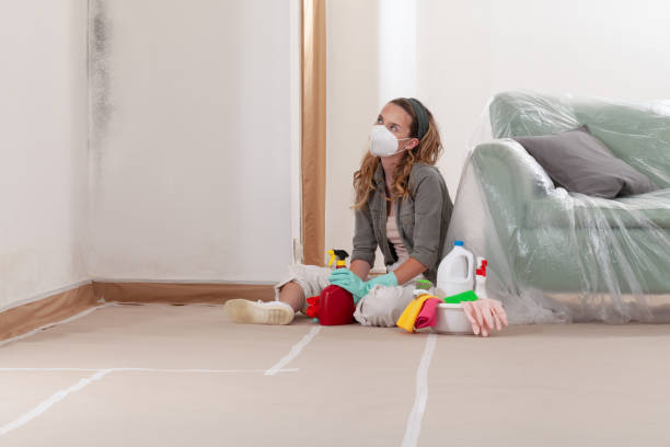 Reliable Mold Remediation contractor in Nesconset, NY by WQB Mold Removal